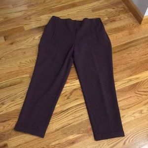 Plum Dress pants